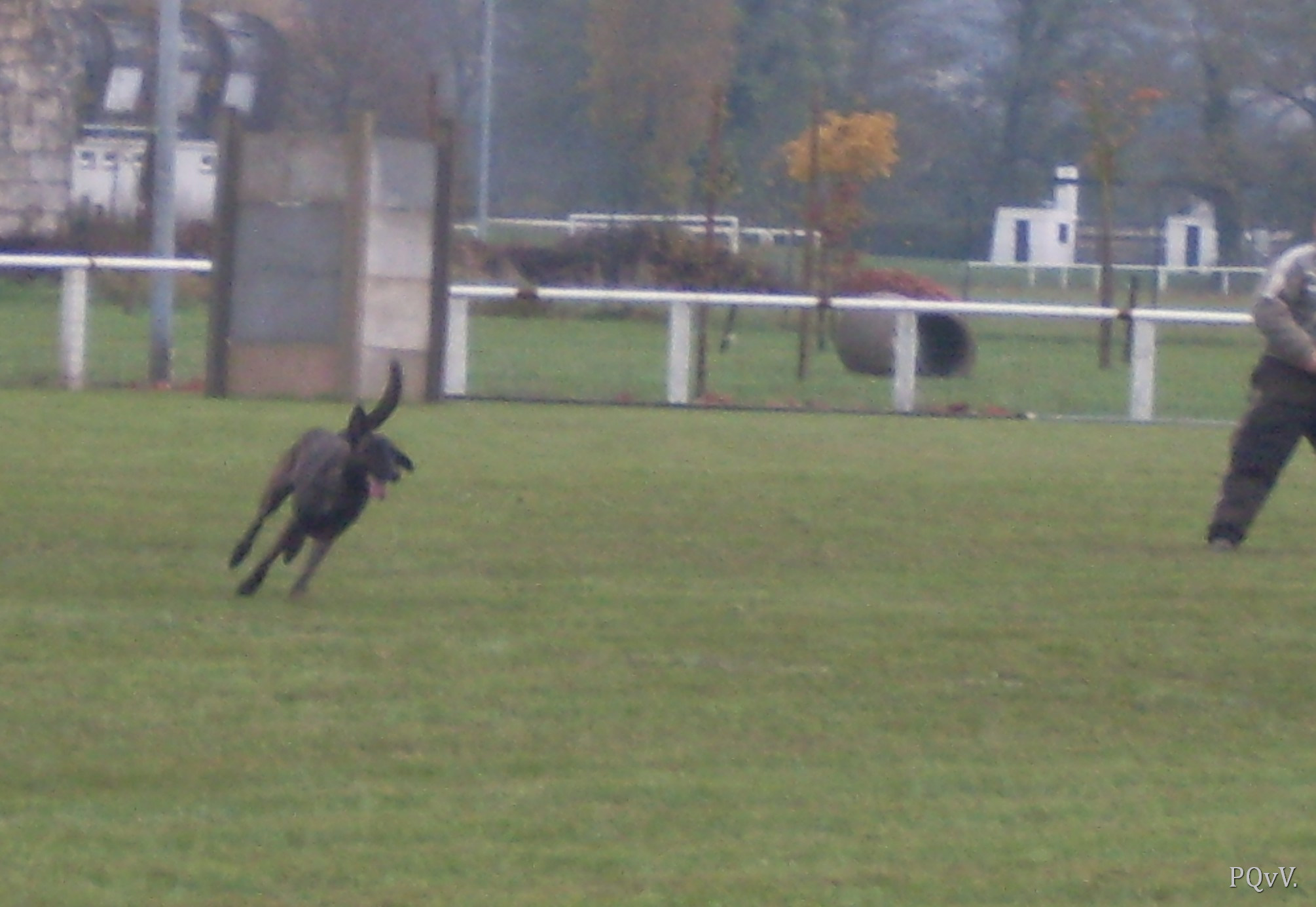  Eros des Crocs d’Olympe
